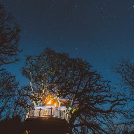 Boomtoppen Boomhut - Devon - nacht - Luifel & Sterren