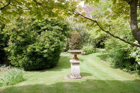 Manor Farm House - Wiltshire - Vivien Leigh - tuin - Savills