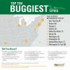 Deze 10 Amerikaanse steden hebben de meeste muggen, teken en vlooien