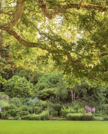 Buckingham Palace Gardens onthuld in een nieuw boek