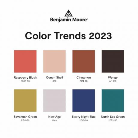 kleurtrendpalet benjamin moore 2023 kleur van het jaar