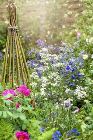 Mooi levendig Engels cottage tuin bloembed met rieten plant ondersteuning in de wazige zomerzon