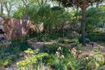 Chelsea Flower Show: Monty Don prijst Nurture Landscapes Garden