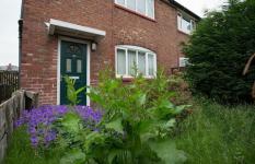 Gemakkelijke manieren waarop uw tuin £ 5.000 kan toevoegen aan de waarde van uw huis