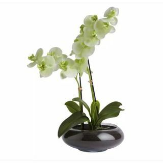 Grote faux orchidee in glazen pot