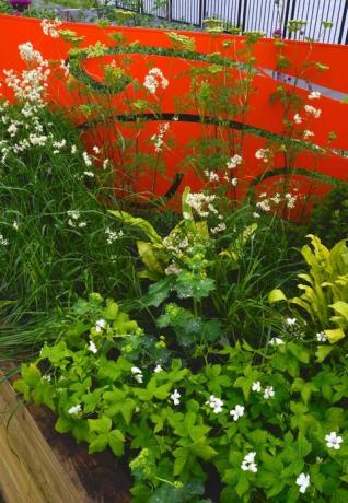 RHS Chatsworth Flower Show - bloemenranden