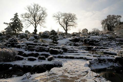 RHS Garden Wisley - winter: een zicht op de Rock Garden Bank onder de sneeuw in RHS Garden Wisley.