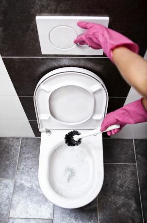 vrouw toilet schoonmaken met toiletborstel