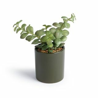 Faux Succulent