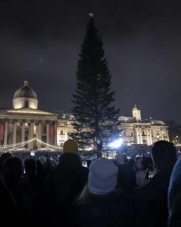 trafalgar vierkante kerstboom onverlicht