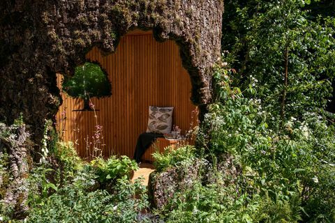 Chelsea Flower Show 2022 Sanctuary Garden