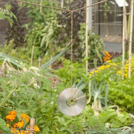 Gerecyclede cd gebruikt als vogelverschrikker in moestuin