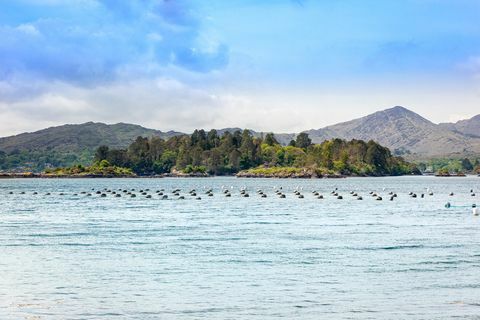 glengarriff kasteel te koop in ierland