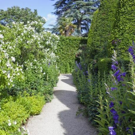 stenen pad in een zomertuin