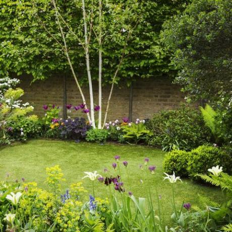 hoe je een toegankelijke tuin ontwerpt, volgens Gardeners 'World Mark Lane