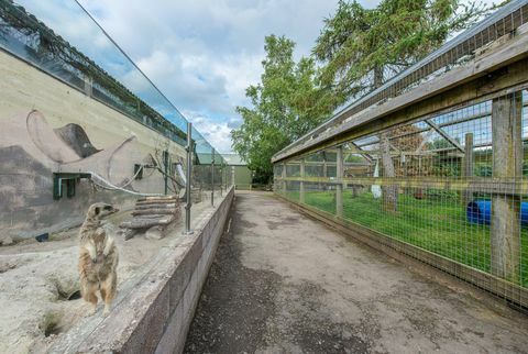 Wildpark te koop in Schotland 