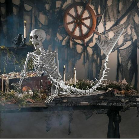 Zeemeermin skelet 