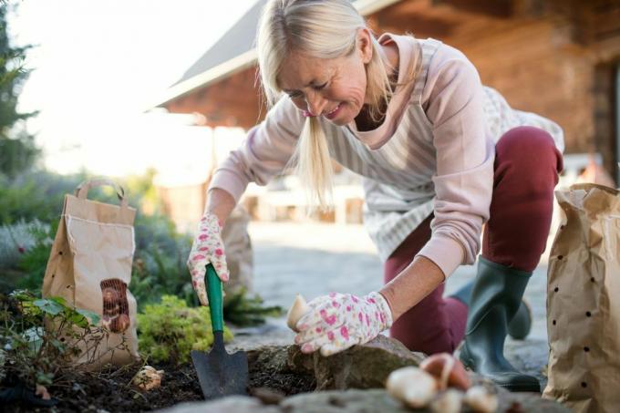 senior vrouw die bollen buiten plant in de herfsttuin, tuinieren concept
