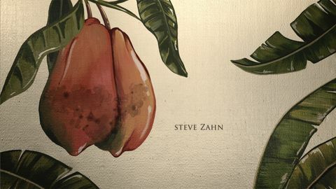 een wallpaper uit de openingscredits van hbo's the white lotus