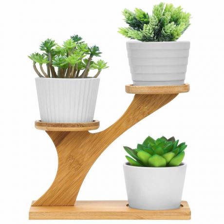 Succulent Pot Display Stand met potten