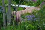 Chelsea's volgende voor bekroonde tuinontwerper Tom Simpson