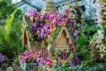 Kew Gardens Orchid Festival 2019 Data en tickets Info