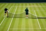 Hoe gemakkelijk is het om het perfecte Wimbledon-tennisgazon in uw eigen tuin te bereiken?