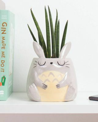 Bunny Plant Pot