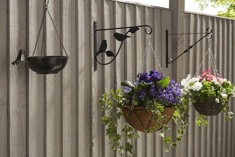 Poundland: Charlie Dimmock hangende bloemenmanden