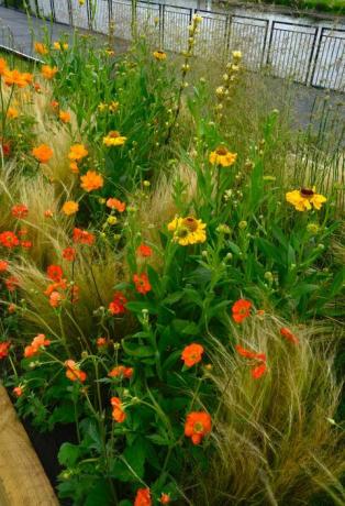 RHS Chatsworth Flower Show - bloemenranden