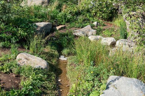 Countryfile's 30th Anniversary Garden. Ontworpen door: Ann-Marie Powell. Feature Garden. RHS Hampton Court Palace Flower Show 2018