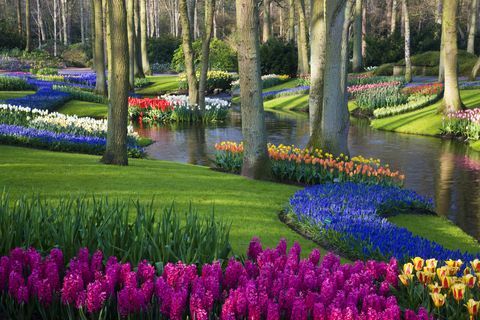 Beste virtuele rondleidingen door de tuin