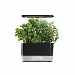 AeroGarden Oogst