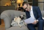 Makelaar Emoov biedt speciale bezichtigingen voor honden aan