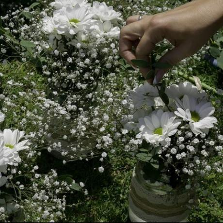 witte margriet boeketten in potten