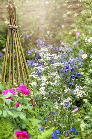 Mooie levendige Engelse cottage tuin bloembed met rieten plant ondersteuning in de wazige zomerzon