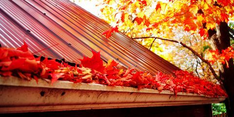 Marple bladeren in de goot, herfsttijd