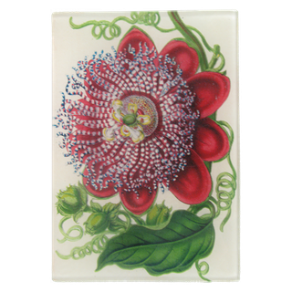 Passiflora Mini Dienblad