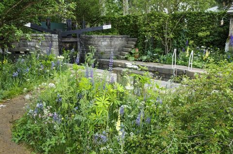 Chelsea Flower Show 2019 - Welcome to Yorkshire garden by Mark Gregory