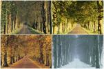 7 landschappen volledig getransformeerd door herfst
