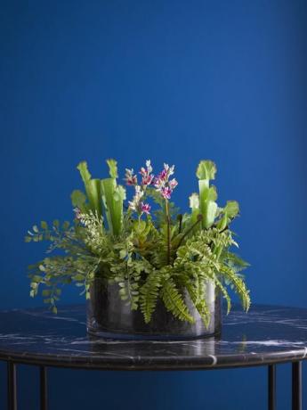 La Redoute lanceert luxe faux planten- en bloemenassortiment van Bloom