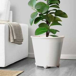 Zelfbewegende planter