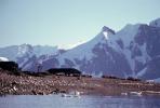 Kerstdag op Antarctica - Kerstkaarten ontvangen en cadeautjes op Antarctica