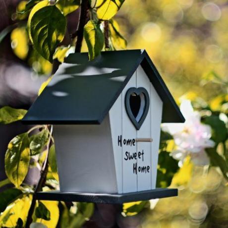 tuinoase, vogelhuisje in de bloeiende appelboom selectieve aandacht