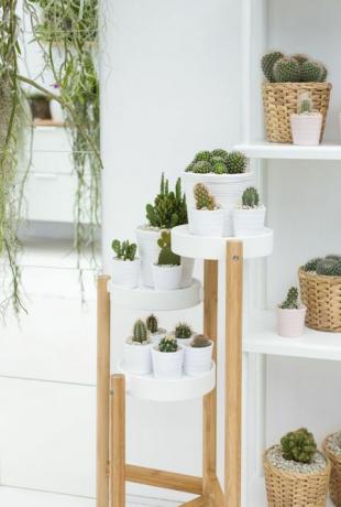 IKEA en Indoor Garden Design hebben samen een display gecreëerd op de RHS Chelsea Flower Show 2017