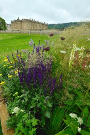 RHS Chatsworth Flower Show - bloemenranden