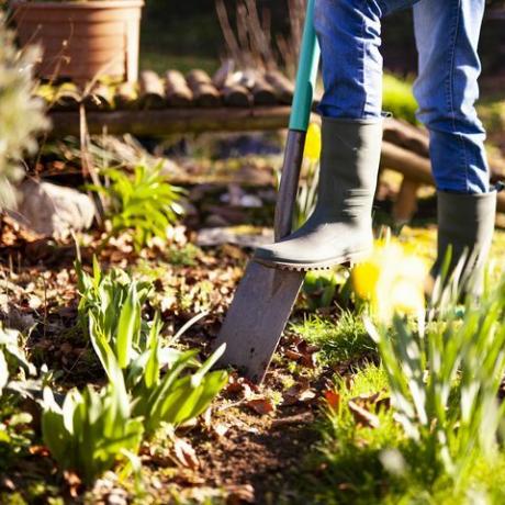 vrouw graven een gat in de tuin met een schop