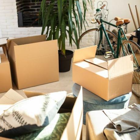 verpakte kartonnen dozen in appartement, fiets, plant in bloempot, hoge hoekmening