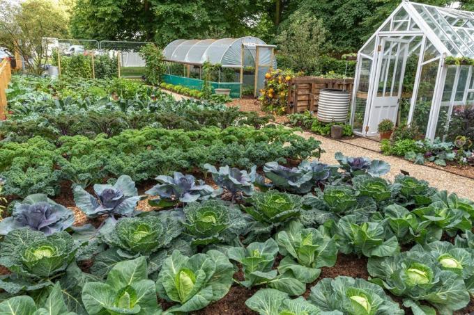 de rhs no dig volkstuin demonstratietuin ontworpen in samenwerking met charles dowding en stephanie hafferty, hampton court palace garden festival 2021, hampton court palace bloemenshow