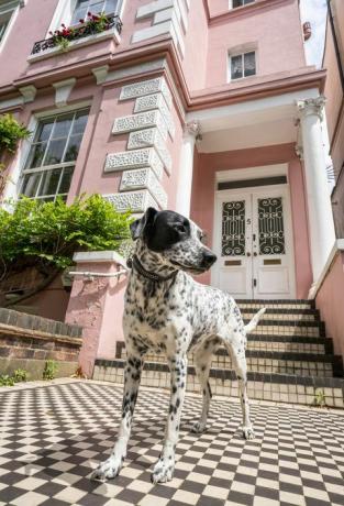 onroerend goed te koop in Primrose Hill dat 101 Dalmatiërs inspireerde